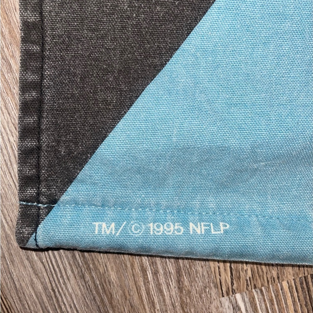Carolina Panthers Wall Hanging - Picture 5 of 5